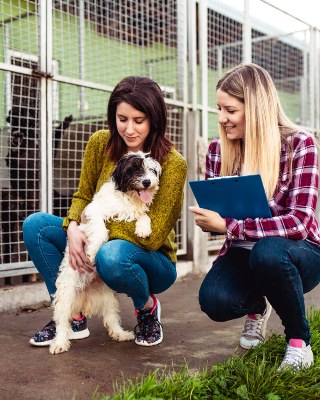Two people with a dog at a kennel